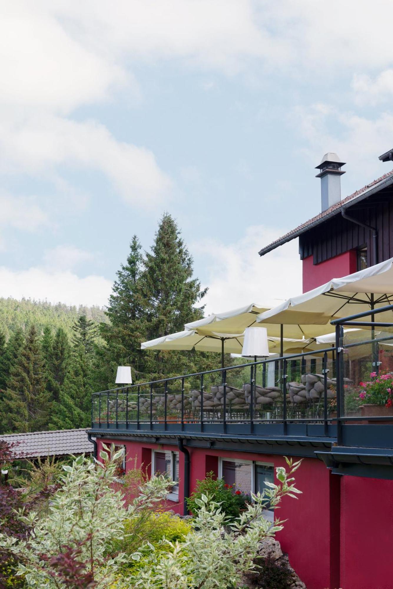 Hotel Restaurant Spa Les Jardins De Sophie Ксонруп-Лонжеме Екстериор снимка